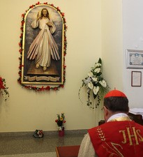 Proslavljena svetkovina Božjega milosrđa u Trnovčici